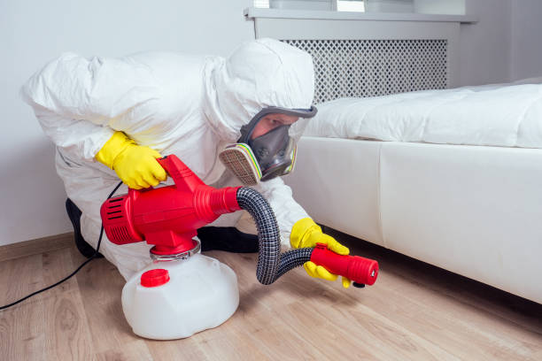 Emergency Pest Control Services in Loudonville, NY